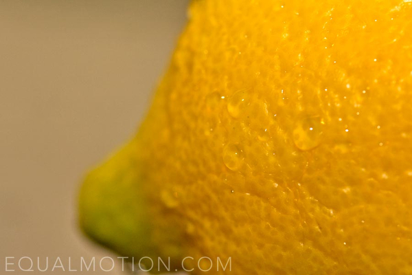 lemon-macro-photos02